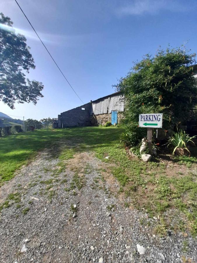 Hotel Ferme Arboucau à Peyrouse Extérieur photo